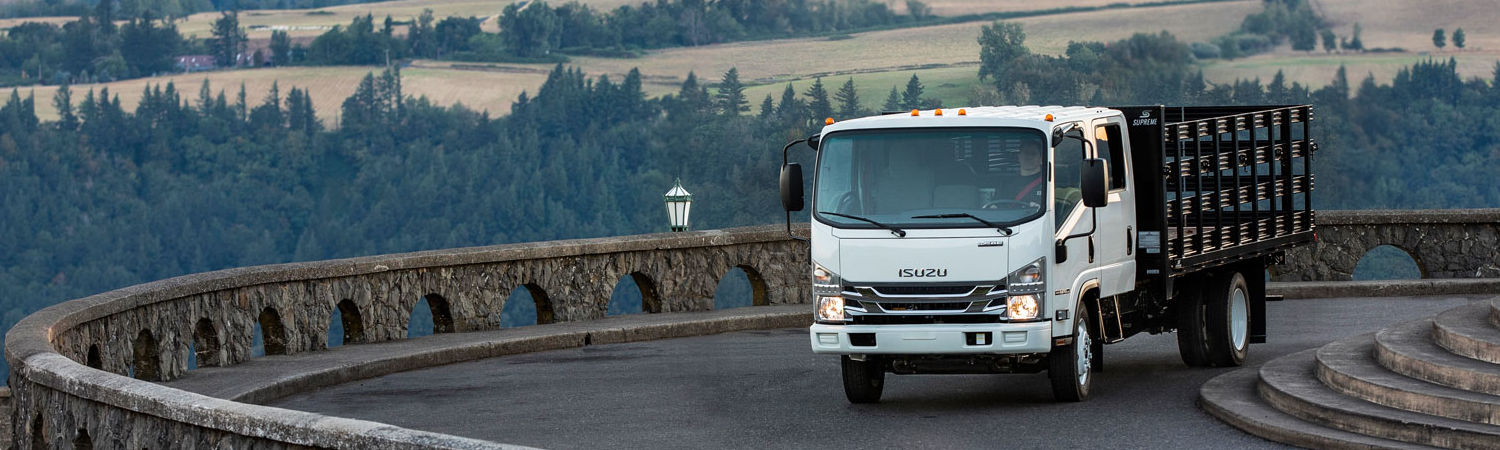 2021 Isuzu Trucks N-Series Gas for sale in Black Rock Truck Group, Branford, Connecticut